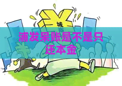 浦发呆账是不是只还本金