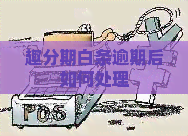 趣分期白条逾期后如何处理