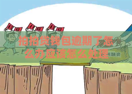 钱包逾期了怎么办应该怎么处理