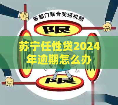 苏宁任性贷2024年逾期怎么办