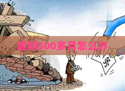 逾期500多月怎么办