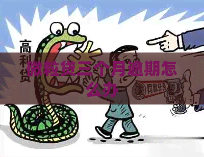 微粒贷三个月逾期怎么办