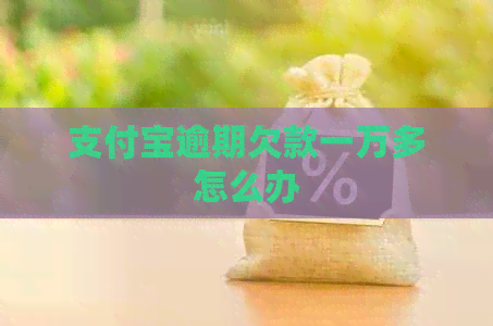 信用卡逾期欠款一万多怎么办