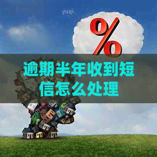 逾期半年收到短信怎么处理