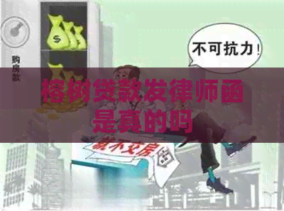 榕树贷款发律师函是真的吗