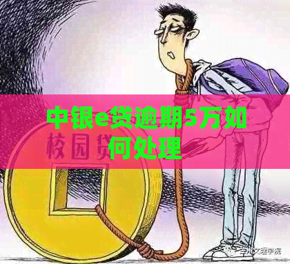 中银e贷逾期5万如何处理