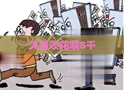 欠信用卡白条8千