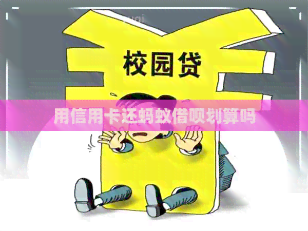 用信用卡还蚂蚁网贷划算吗