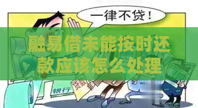 融易借未能按时还款应该怎么处理