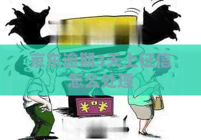 京东逾期3天上怎么处理
