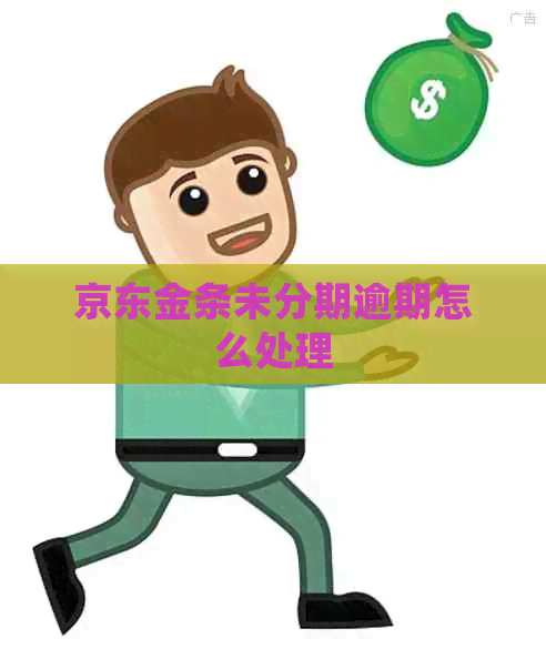 京东金条未分期逾期怎么处理