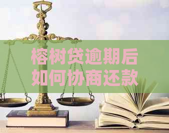 榕树贷逾期后如何协商还款