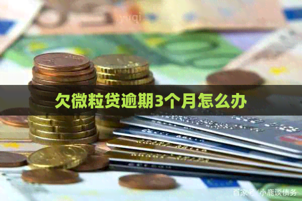 欠微粒贷逾期3个月怎么办