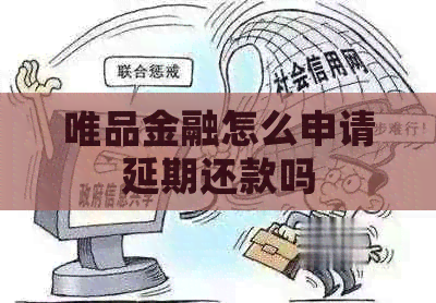 唯品金融怎么申请延期还款吗