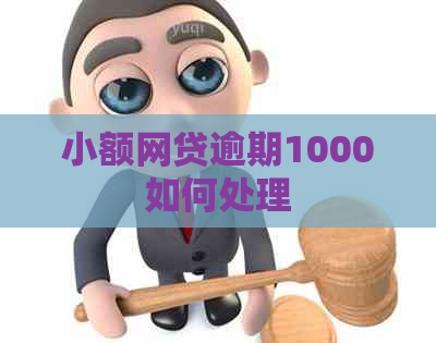 小额网贷逾期1000如何处理