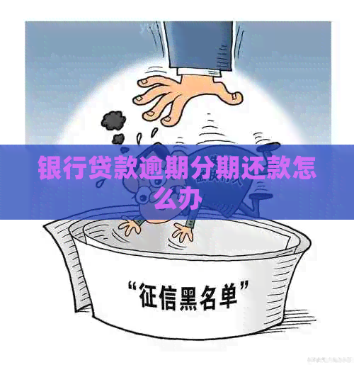 银行贷款逾期分期还款怎么办