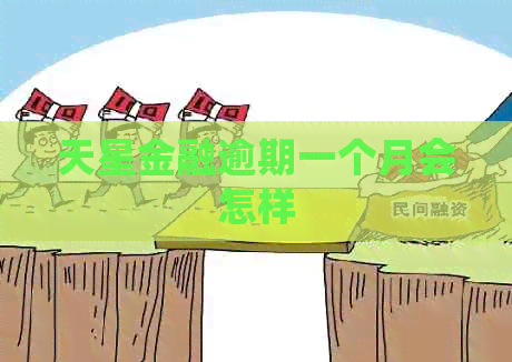 天星金融逾期一个月会怎样