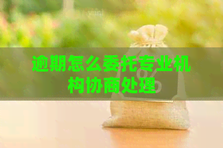逾期怎么委托专业机构协商处理