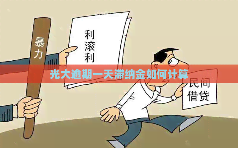 光大逾期一天滞纳金如何计算