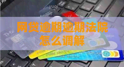 网贷逾期逾期法院怎么调解