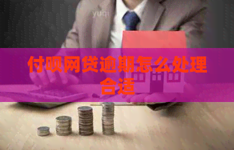 付呗网贷逾期怎么处理合适