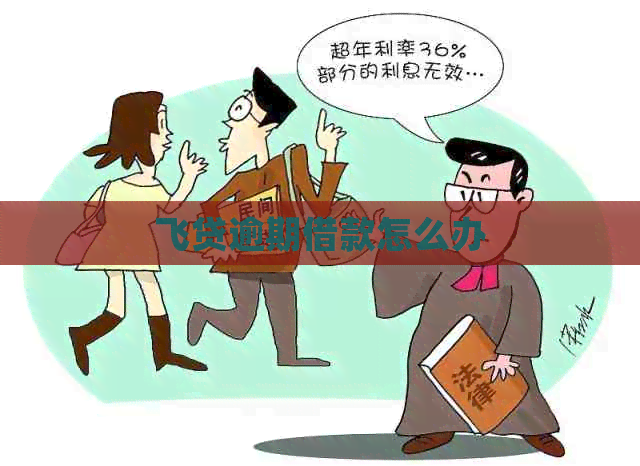 飞贷逾期借款怎么办