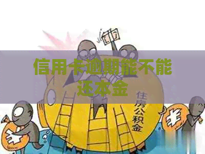 信用卡逾期能不能还本金