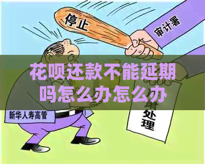 白条还款不能延期吗怎么办怎么办