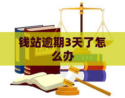 钱站逾期3天了怎么办
