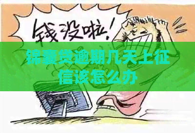 锦囊贷逾期几天上该怎么办