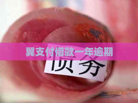 翼支付借款一年逾期