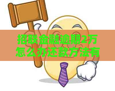 招联金融逾期2万怎么办还款方法有哪些