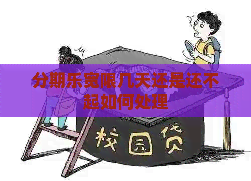 宽限几天还是还不起如何处理