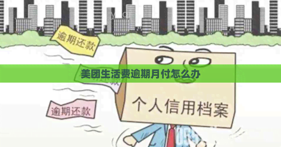 美团生活费逾期月付怎么办