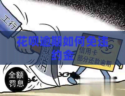 白条逾期如何免违约金