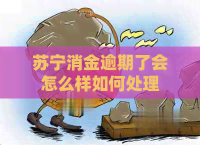 苏宁消金逾期了会怎么样如何处理