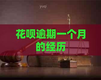 白条逾期一个月的经历