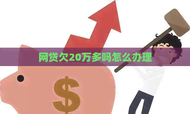 网贷欠20万多吗怎么办理