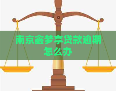 南京鑫梦享贷款逾期怎么办