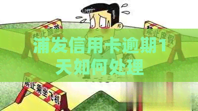 浦发信用卡逾期1天如何处理