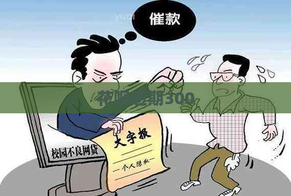 白条逾期300