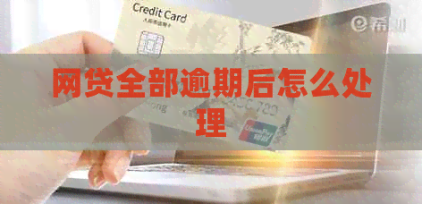 网贷全部逾期后怎么处理