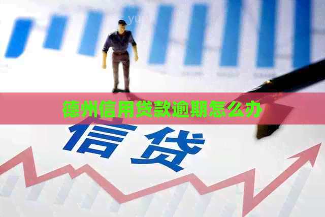 德州信用贷款逾期怎么办