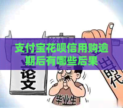 信用卡白条信用购逾期后有哪些后果