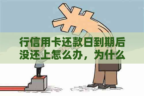 行信用卡还款日到期后没还上怎么办，为什么信用卡到了还款日还没出账单？