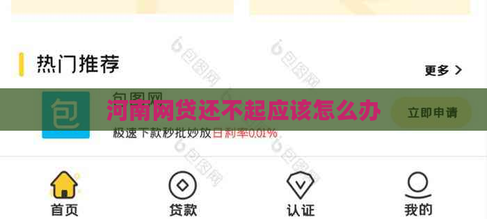 河南网贷还不起应该怎么办