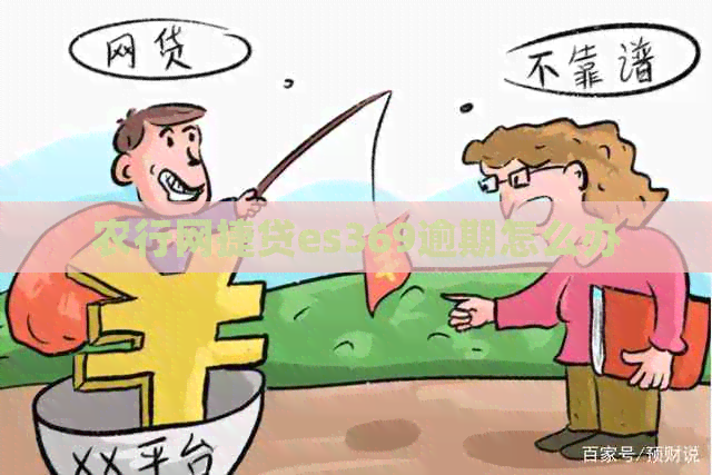 农行网捷贷es369逾期怎么办