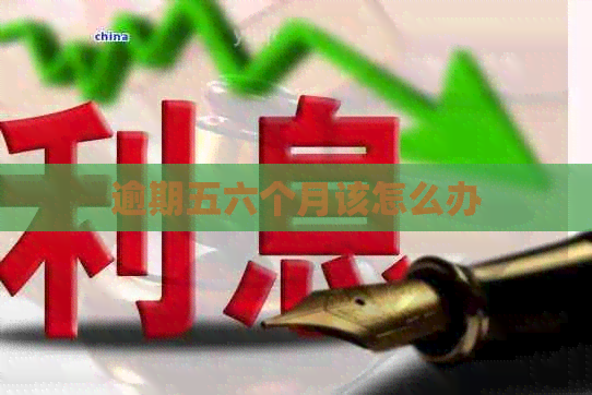 逾期五六个月该怎么办