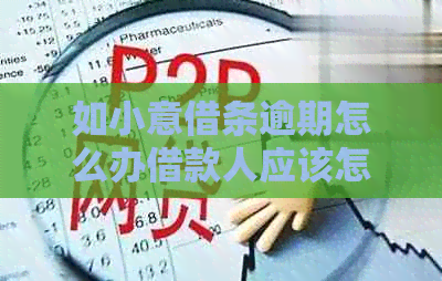 如小意借条逾期怎么办借款人应该怎么处理