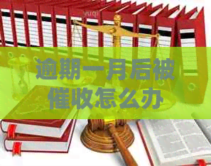逾期一月后被怎么办